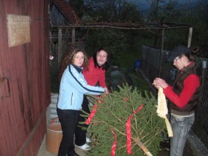 Stavanie Mája 2009
